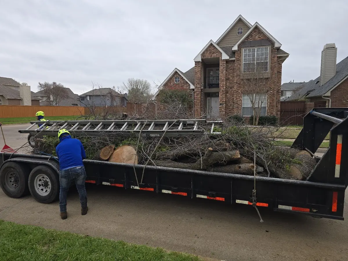 Expert Tree Fertilization with proper safety equipment in Heron Lake
